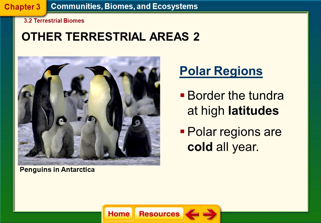 Communities, Biomes, and Ecosystems Polar Regions  Border the tundra at high latitudes  Polar regions are cold all year.