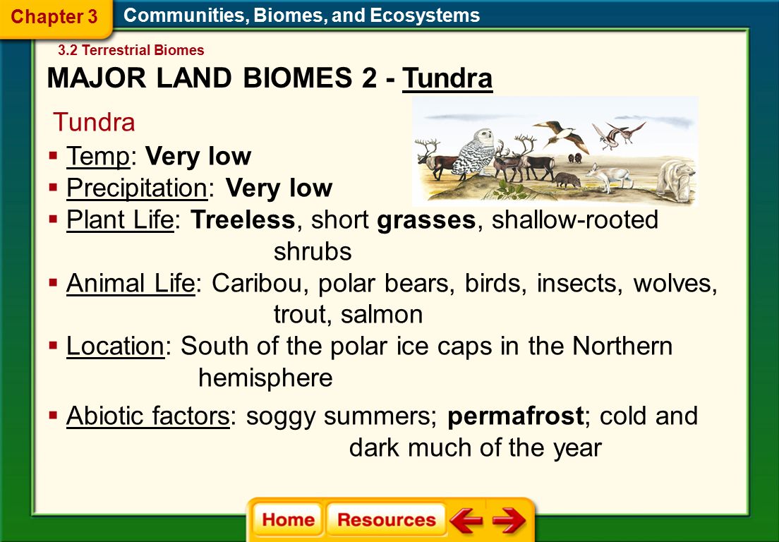 Communities, Biomes, and Ecosystems Tundra  Abiotic factors: soggy summers; permafrost; cold and dark much of the year  Temp: Very low  Precipitation: Very low  Plant Life: Treeless, short grasses, shallow-rooted shrubs  Animal Life: Caribou, polar bears, birds, insects, wolves, trout, salmon  Location: South of the polar ice caps in the Northern hemisphere 3.2 Terrestrial Biomes Chapter 3 MAJOR LAND BIOMES 2 - Tundra