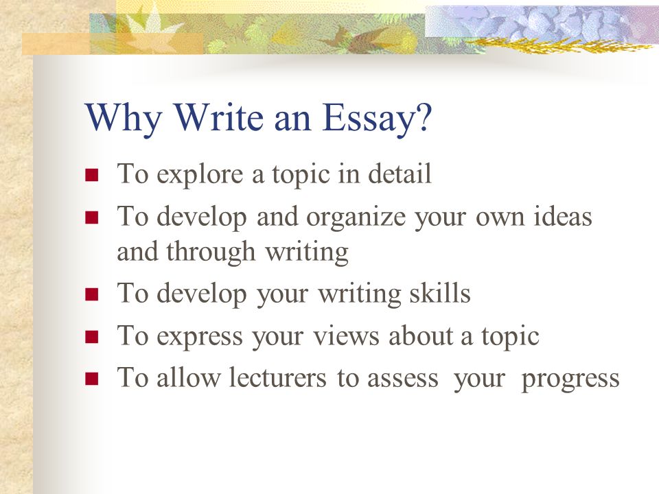 Why Write an Essay.