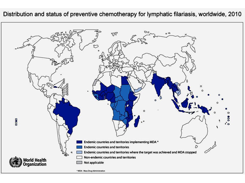 Epidemiology of enterobiasis. Epidemiology pastila pentru prevenirea viermilor la om