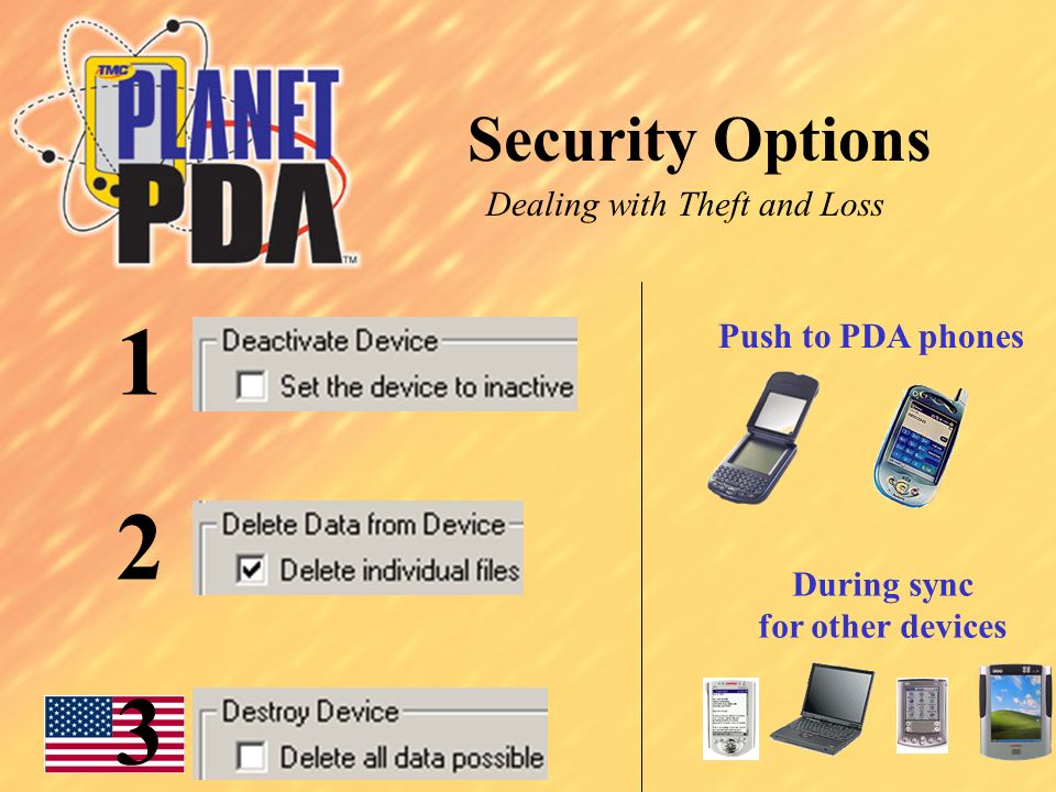 Security Options Push to PDA phones During sync for other devices Dealing with Theft and Loss