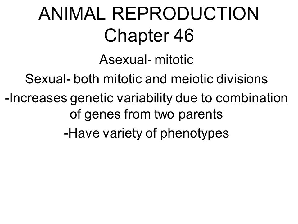 ANIMAL REPRODUCTION Chapter 46 Asexual- mitotic Sexual- both mitotic and meiotic divisions -Increases genetic variability due to combination of genes from two parents -Have variety of phenotypes
