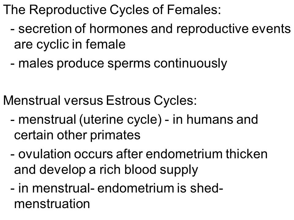The Reproductive Cycles of Females: - secretion of hormones and reproductive events are cyclic in female - males produce sperms continuously Menstrual versus Estrous Cycles: - menstrual (uterine cycle) - in humans and certain other primates - ovulation occurs after endometrium thicken and develop a rich blood supply - in menstrual- endometrium is shed- menstruation