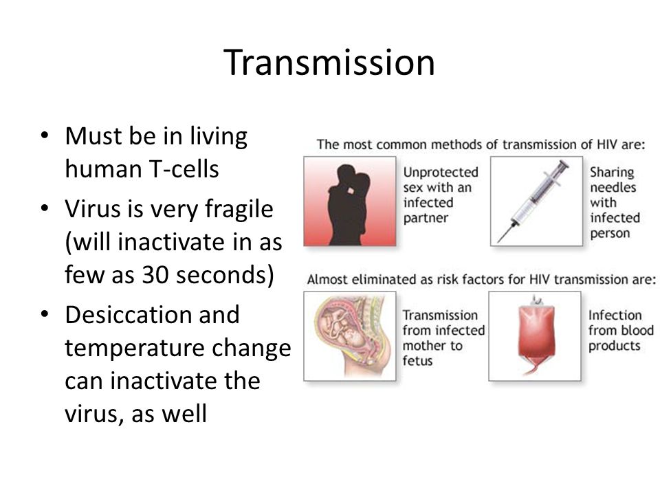 Transmission Must be in living human T-cells Virus is very fragile (will inactivate in as few as 30 seconds) Desiccation and temperature change can inactivate the virus, as well