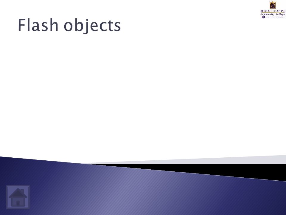 Flash objects