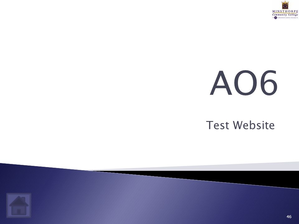 Test Website 46 AO6