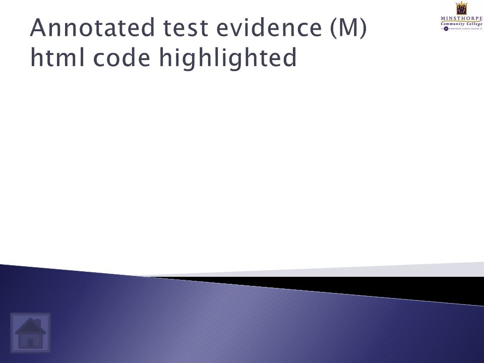 Annotated test evidence (M) html code highlighted