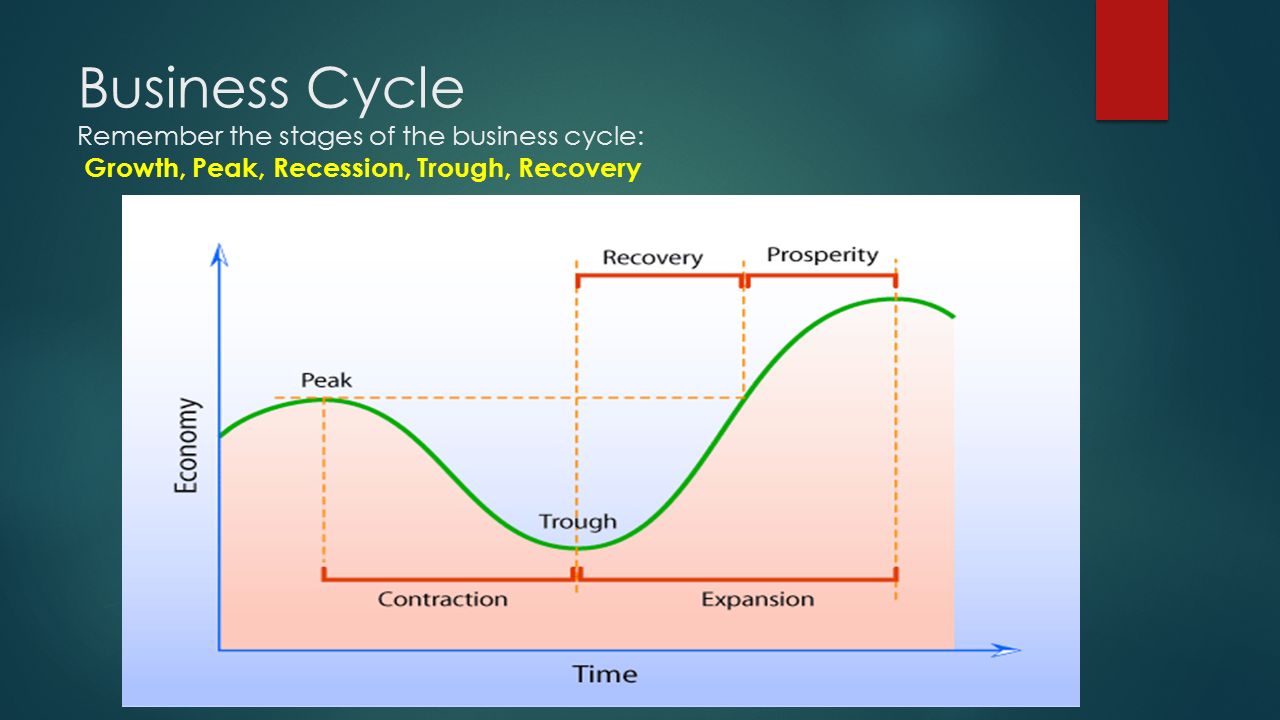 Business Cycle Remember the stages of the business cycle: Growth, Peak, Recession, Trough, Recovery