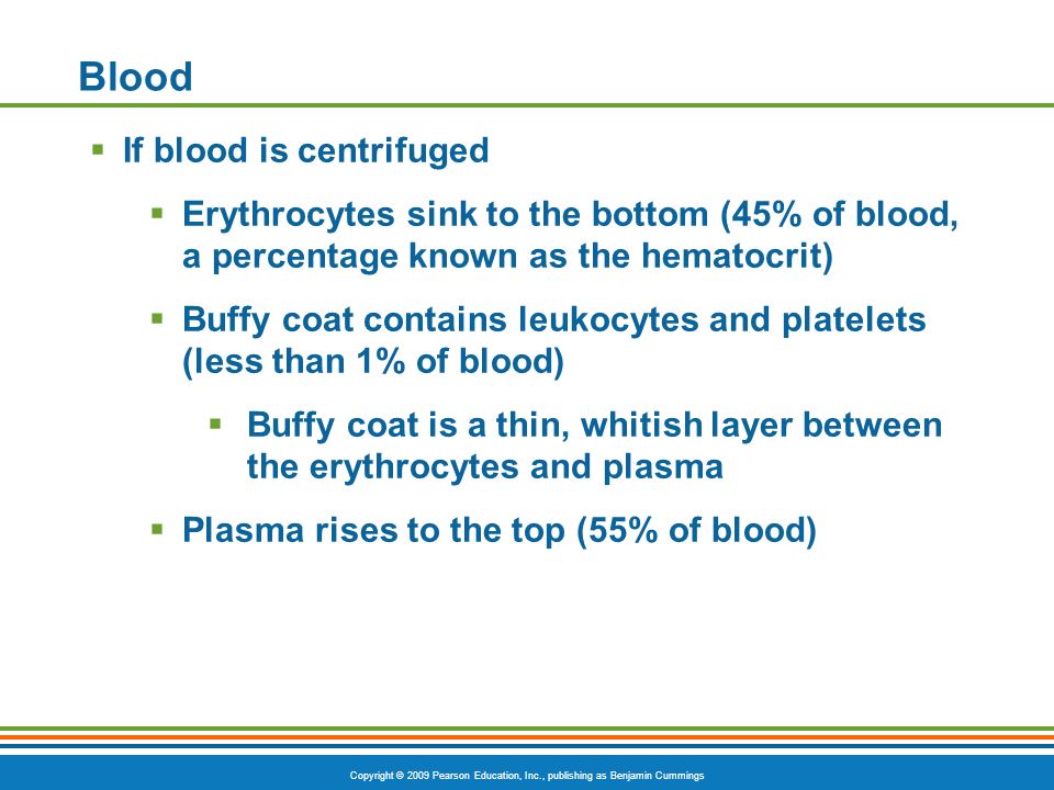 Copyright © 2009 Pearson Education, Inc., publishing as Benjamin Cummings Blood  If blood is centrifuged  Erythrocytes sink to the bottom (45% of blood, a percentage known as the hematocrit)  Buffy coat contains leukocytes and platelets (less than 1% of blood)  Buffy coat is a thin, whitish layer between the erythrocytes and plasma  Plasma rises to the top (55% of blood)