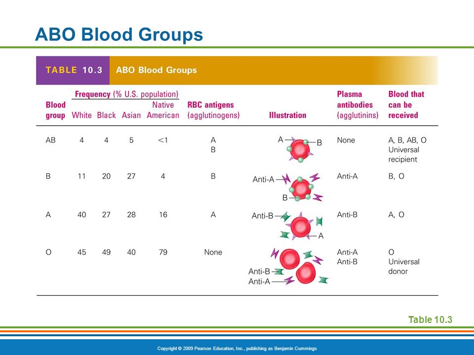Copyright © 2009 Pearson Education, Inc., publishing as Benjamin Cummings ABO Blood Groups Table 10.3