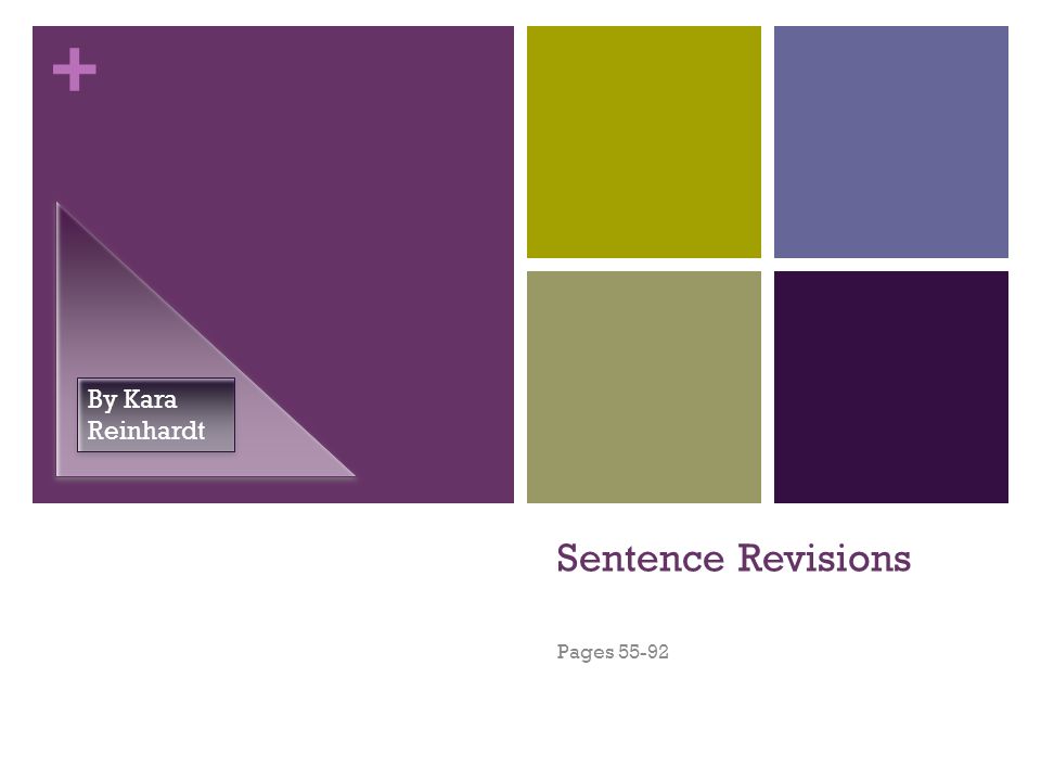 + Sentence Revisions Pages By Kara Reinhardt