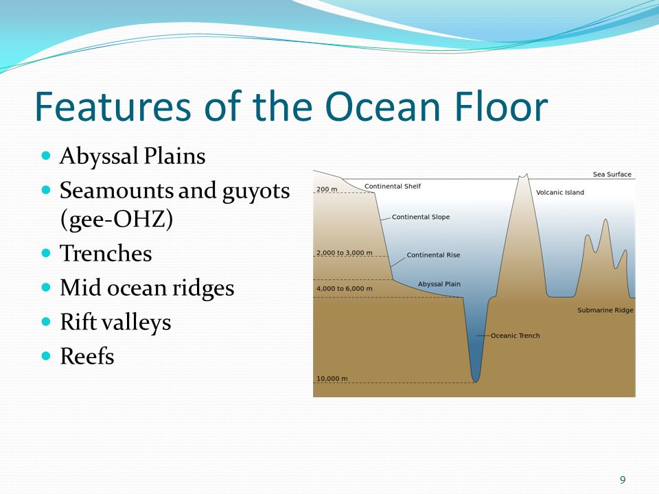 Part 3 The Ocean Floor 1 Introduction Topography The Study Or