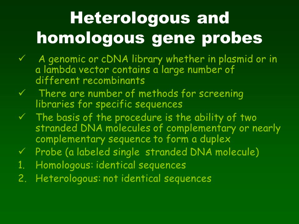 Library screening Heterologous and homologous gene probes Differential  screening Expression library screening. - ppt download