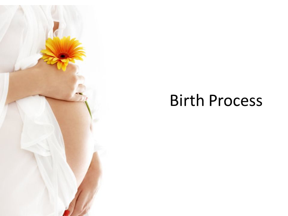 process of conception to birth