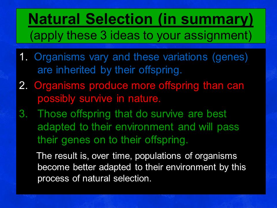 Natural Selection (in summary) (apply these 3 ideas to your assignment) 1.