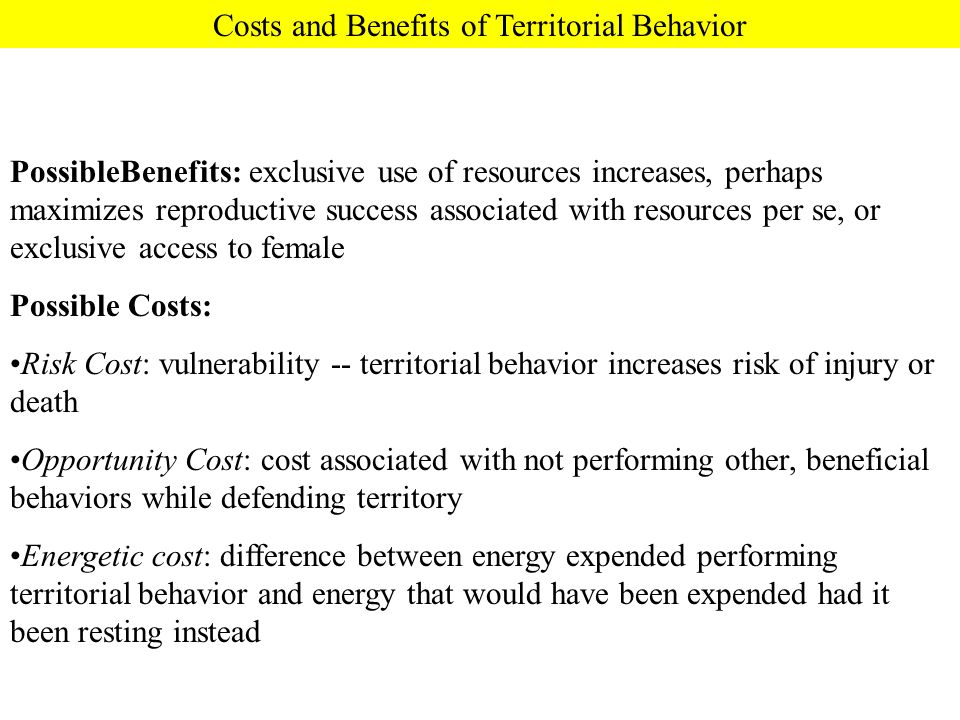 PossibleBenefits: exclusive use of resources increases, perhaps maximizes reproductive success associated with resources per se, or exclusive access to female Possible Costs: Risk Cost: vulnerability -- territorial behavior increases risk of injury or death Opportunity Cost: cost associated with not performing other, beneficial behaviors while defending territory Energetic cost: difference between energy expended performing territorial behavior and energy that would have been expended had it been resting instead Costs and Benefits of Territorial Behavior