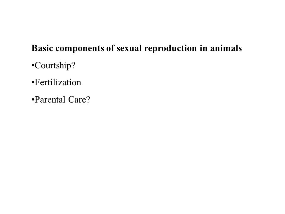 Basic components of sexual reproduction in animals Courtship Fertilization Parental Care