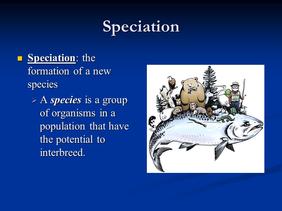 Speciation Speciation: the formation of a new species Speciation: the formation of a new species  A species is a group of organisms in a population that have the potential to interbreed.
