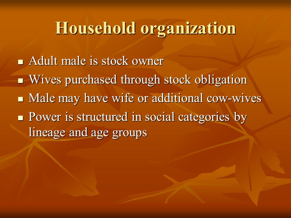 Household organization Adult male is stock owner Adult male is stock owner Wives purchased through stock obligation Wives purchased through stock obligation Male may have wife or additional cow-wives Male may have wife or additional cow-wives Power is structured in social categories by lineage and age groups Power is structured in social categories by lineage and age groups