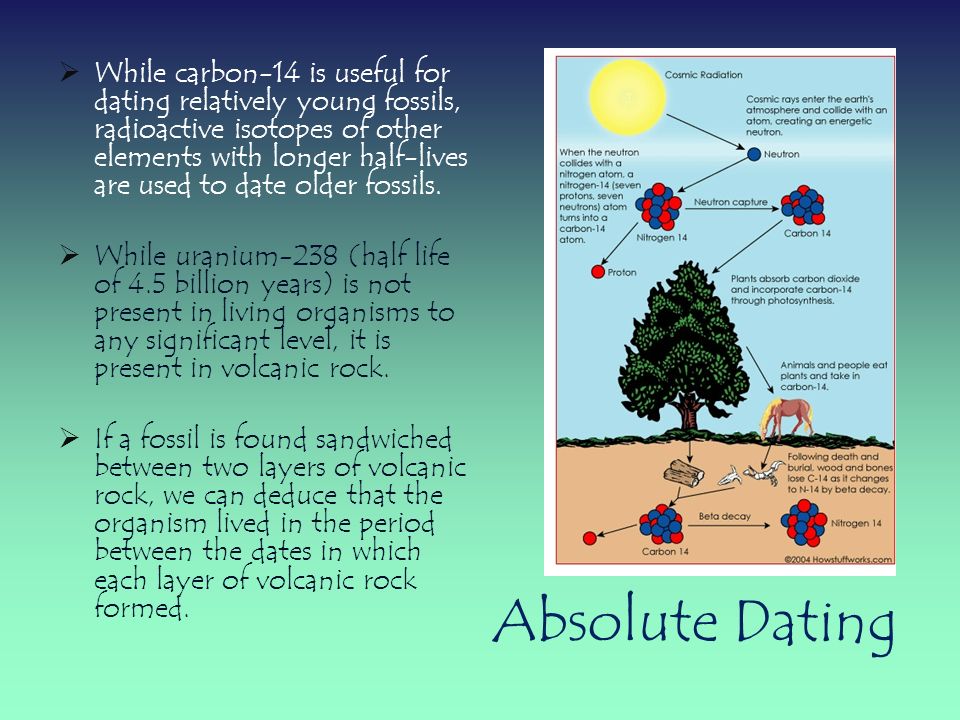 carbon 14 is useful for dating fossils that are