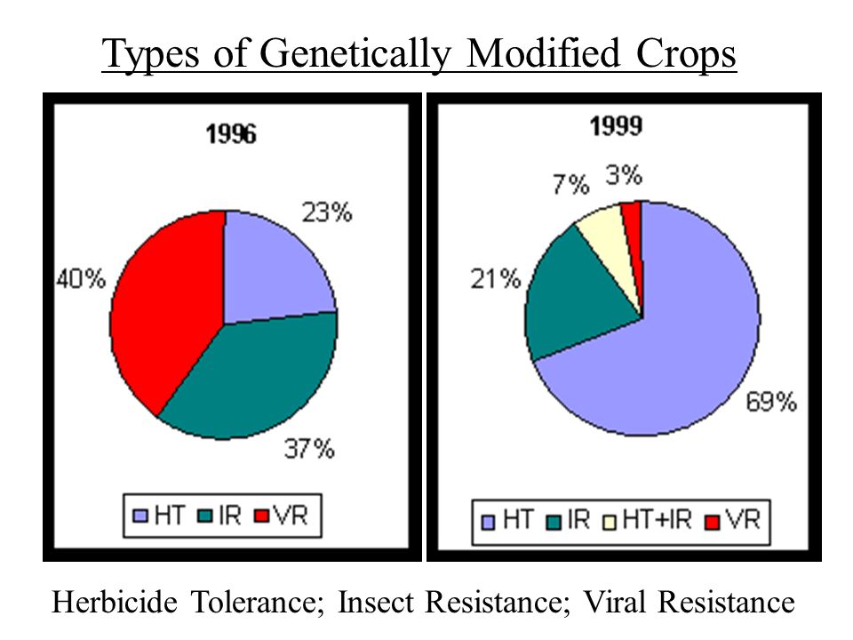 Herbicide Tolerance; Insect Resistance; Viral Resistance Types of Genetically Modified Crops