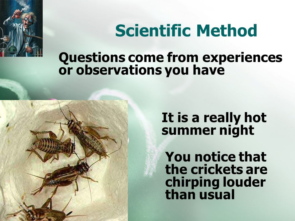 Scientific Method It is a really hot summer night You notice that the crickets are chirping louder than usual Questions come from experiences or observations you have
