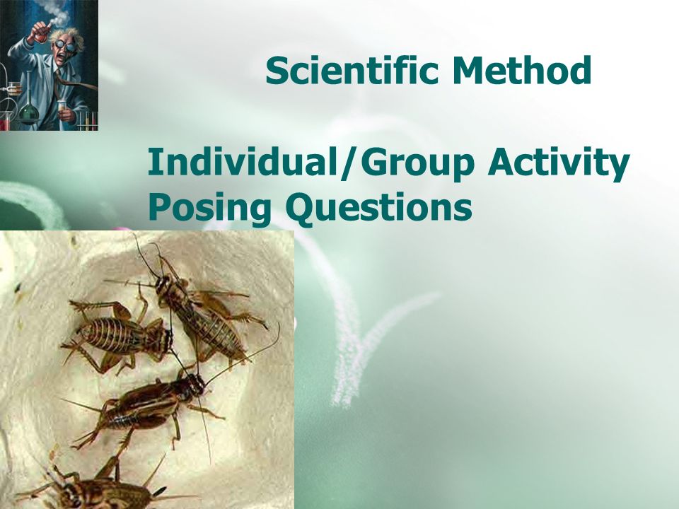 Scientific Method Individual/Group Activity Posing Questions