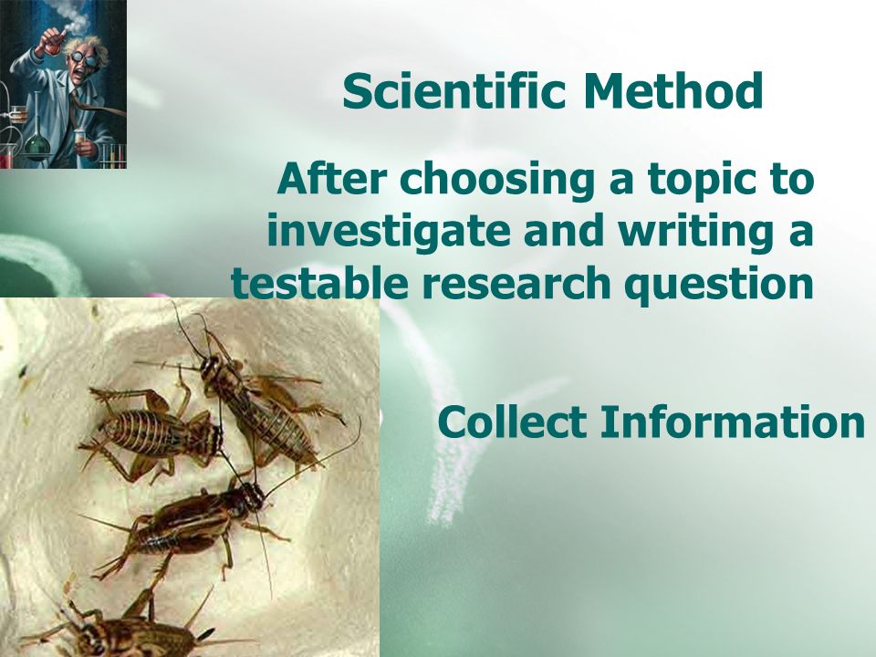 Scientific Method After choosing a topic to investigate and writing a testable research question Collect Information