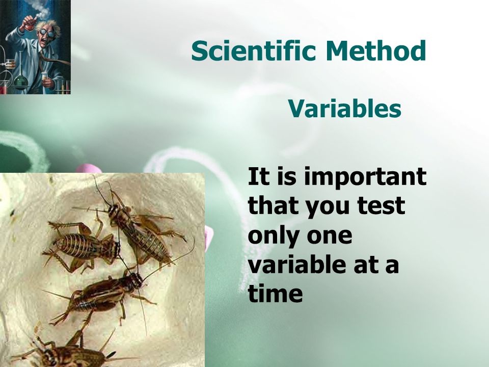 Scientific Method Variables It is important that you test only one variable at a time