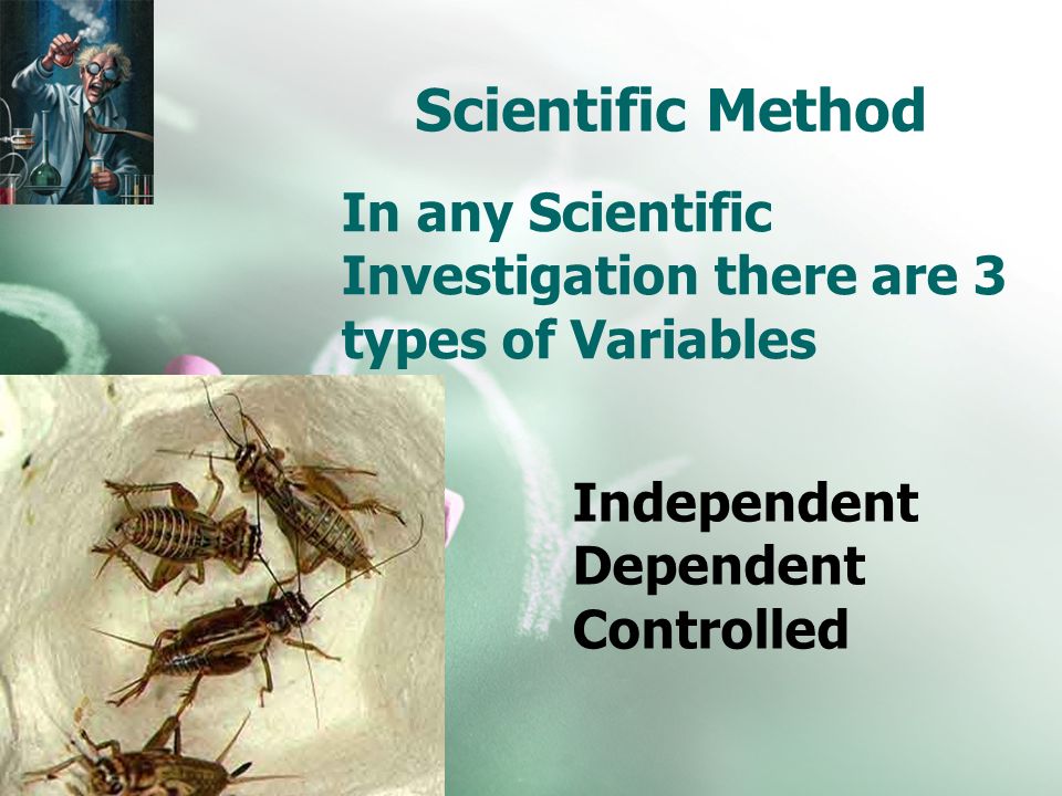 Scientific Method In any Scientific Investigation there are 3 types of Variables Independent Dependent Controlled