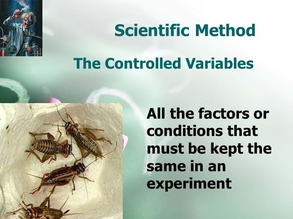 Scientific Method The Controlled Variables All the factors or conditions that must be kept the same in an experiment