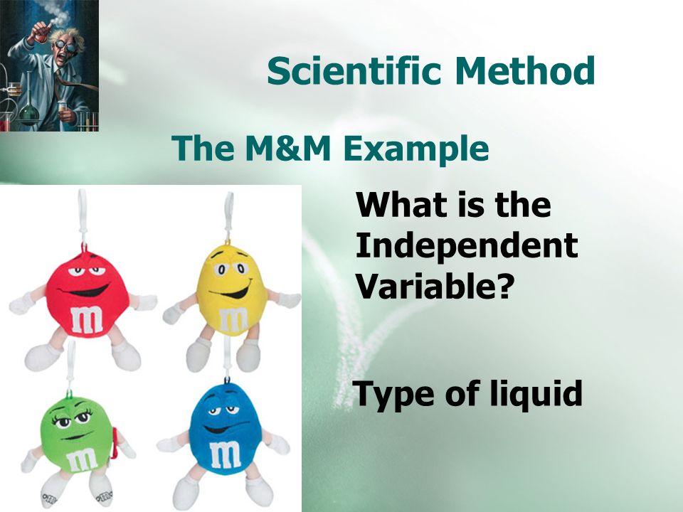 Scientific Method The M&M Example What is the Independent Variable Type of liquid