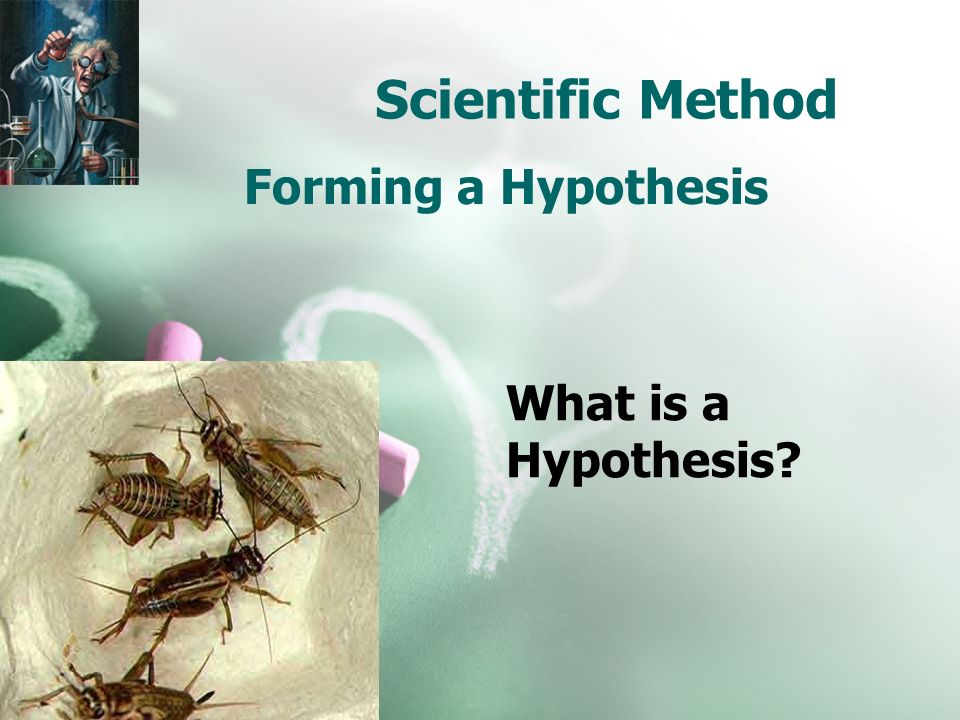 Scientific Method Forming a Hypothesis What is a Hypothesis