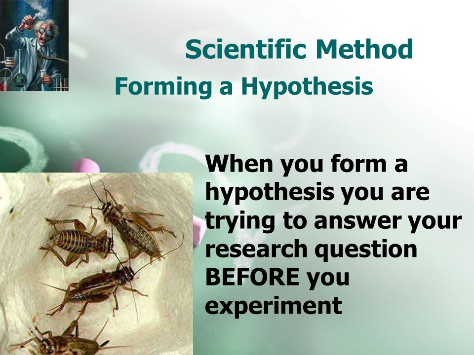Scientific Method Forming a Hypothesis When you form a hypothesis you are trying to answer your research question BEFORE you experiment