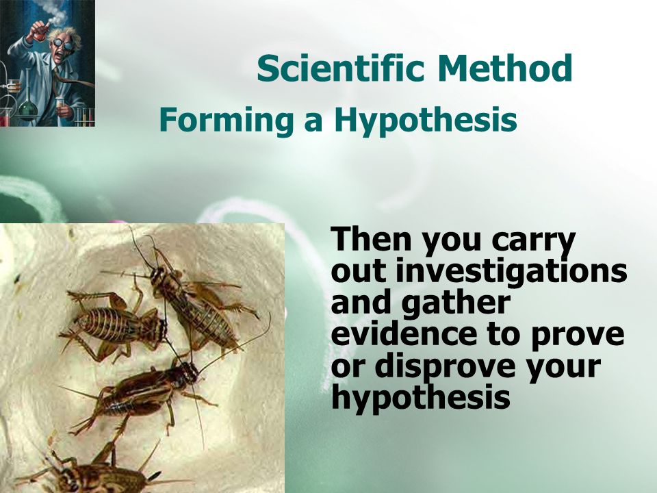 Scientific Method Then you carry out investigations and gather evidence to prove or disprove your hypothesis Forming a Hypothesis