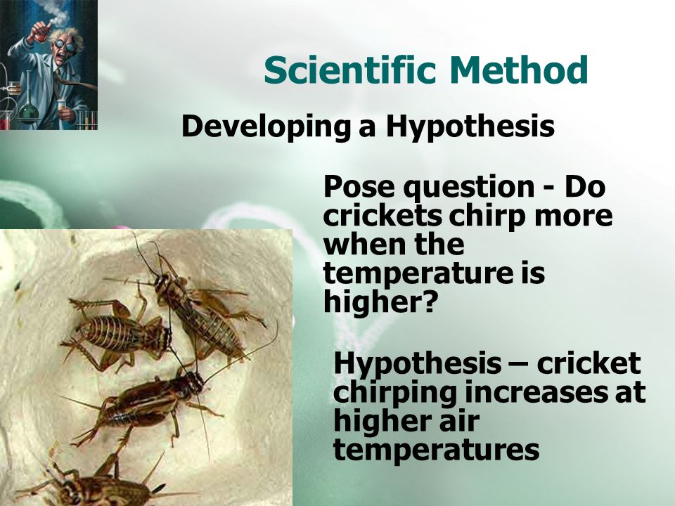 Developing a Hypothesis Pose question - Do crickets chirp more when the temperature is higher.