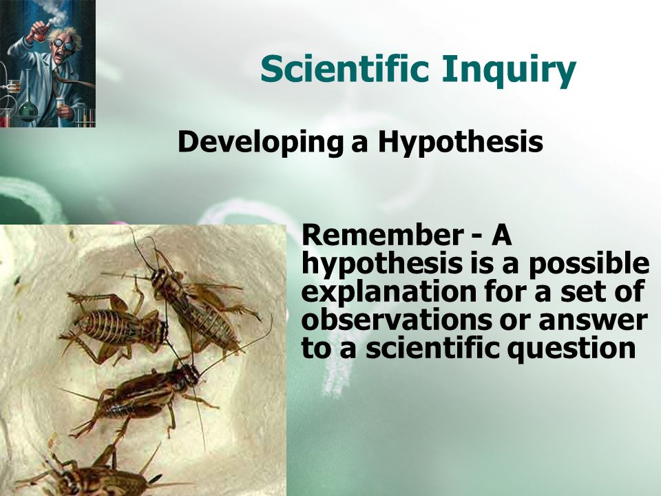 Scientific Inquiry Developing a Hypothesis Remember - A hypothesis is a possible explanation for a set of observations or answer to a scientific question