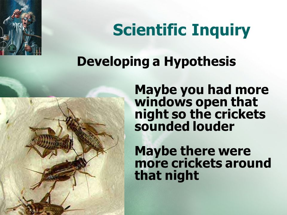 Scientific Inquiry Developing a Hypothesis Maybe you had more windows open that night so the crickets sounded louder Maybe there were more crickets around that night