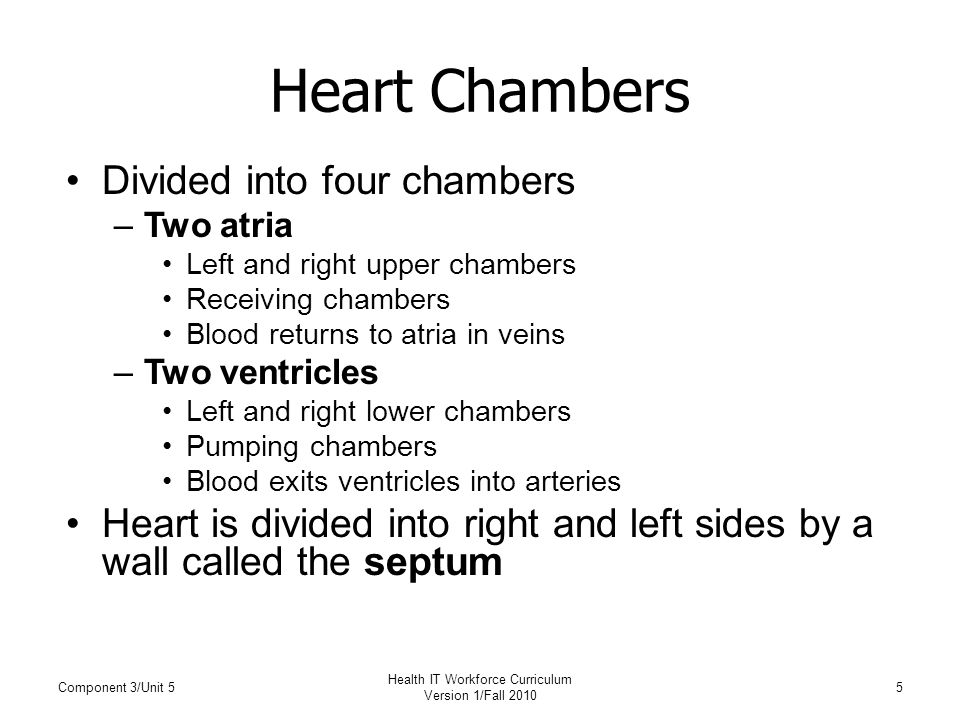 Heart Chambers Divided into four chambers –Two atria Left and right upper chambers Receiving chambers Blood returns to atria in veins –Two ventricles Left and right lower chambers Pumping chambers Blood exits ventricles into arteries Heart is divided into right and left sides by a wall called the septum Component 3/Unit 55 Health IT Workforce Curriculum Version 1/Fall 2010