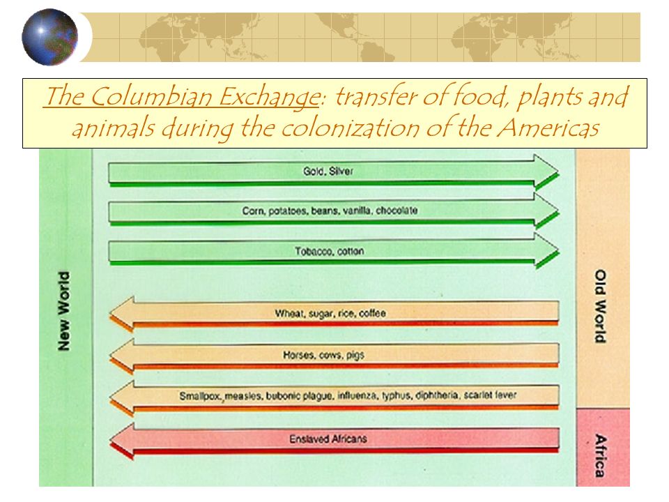 The Columbian Exchange: transfer of food, plants and animals during the colonization of the Americas