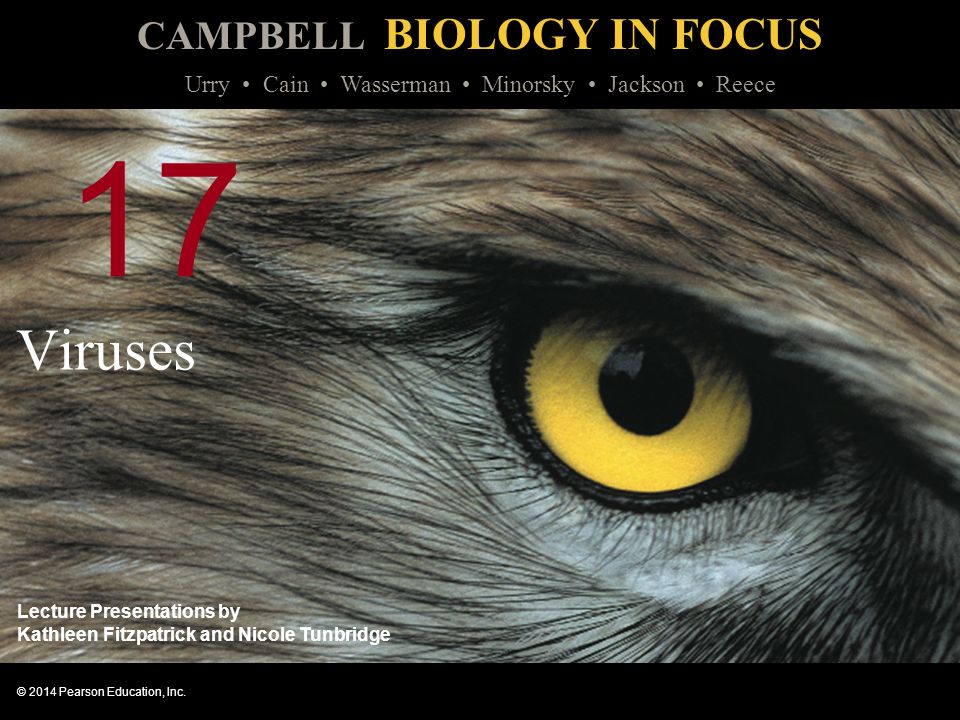 CAMPBELL BIOLOGY IN FOCUS © 2014 Pearson Education, Inc.
