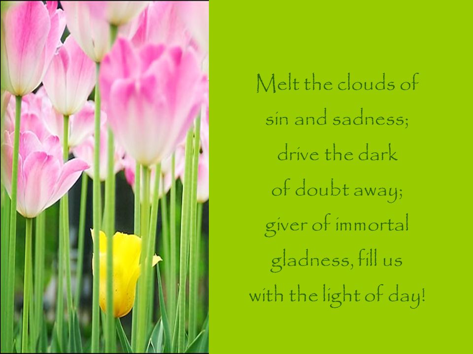 Melt the clouds of sin and sadness; drive the dark of doubt away; giver of immortal gladness, fill us with the light of day!