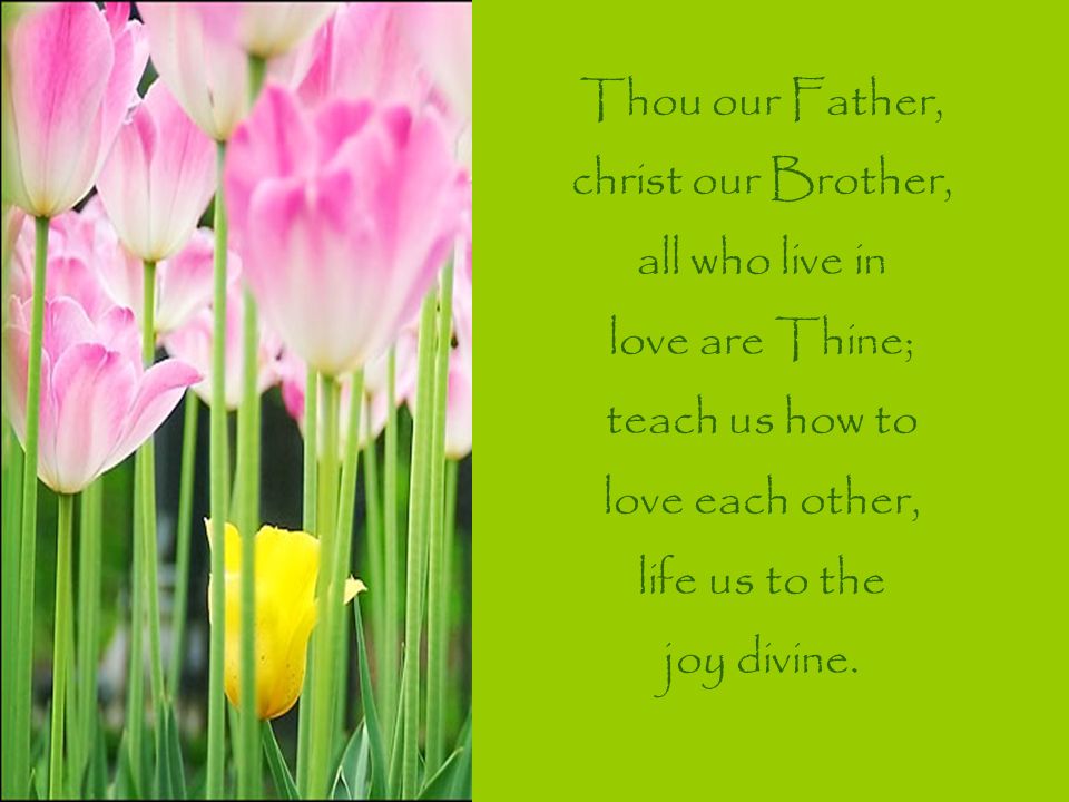 Thou our Father, christ our Brother, all who live in love are Thine; teach us how to love each other, life us to the joy divine.