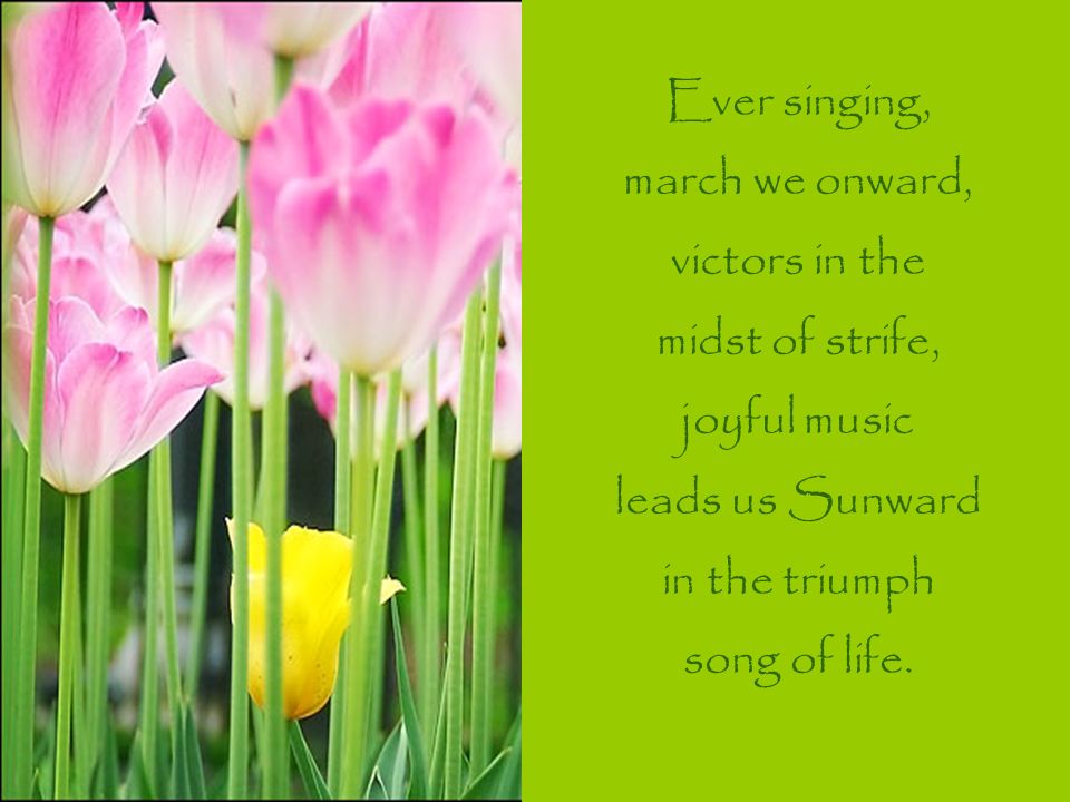 Ever singing, march we onward, victors in the midst of strife, joyful music leads us Sunward in the triumph song of life.
