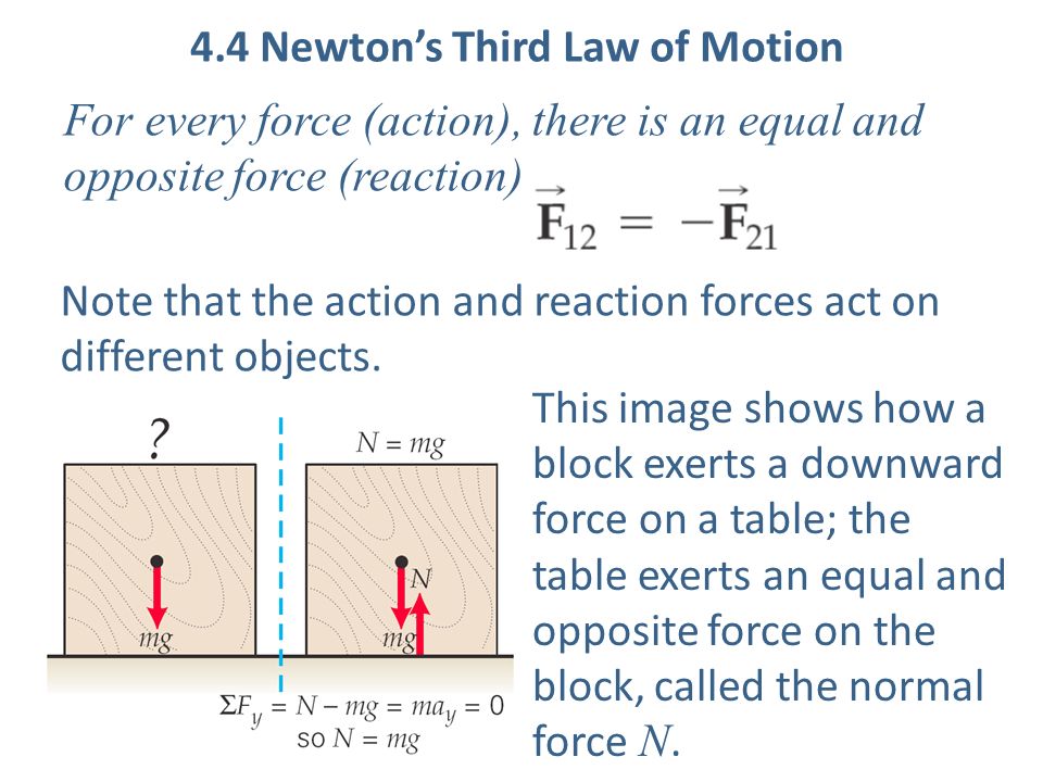 4.4 Newton’s Third Law of Motion For every force (action), there is an equal and opposite force (reaction).