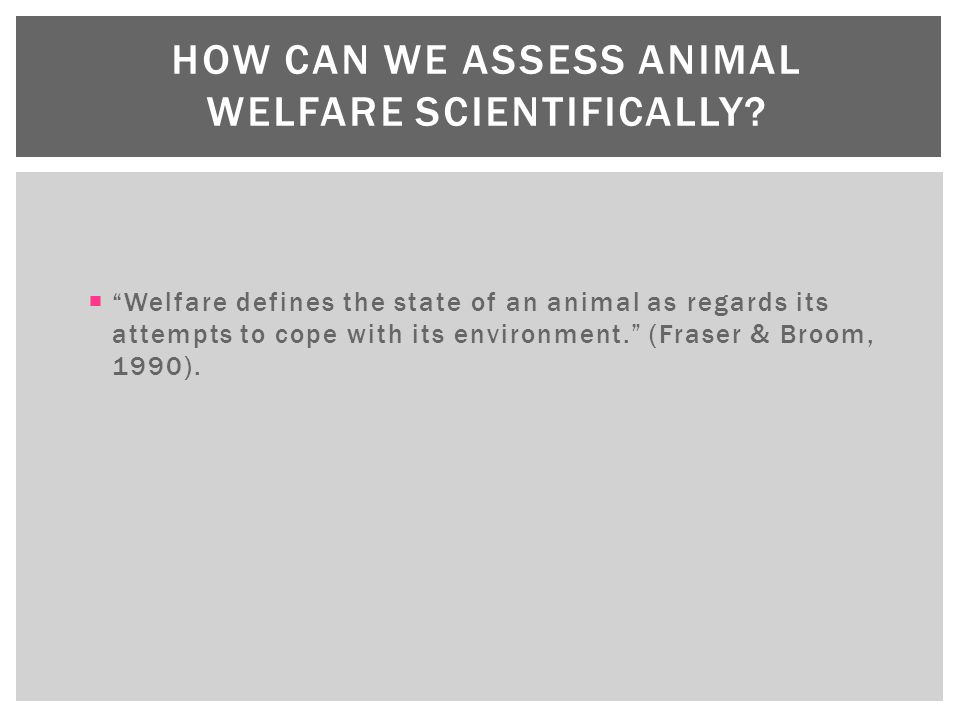 Jessica Walker INTRODUCTION TO ANIMAL WELFARE.  Welfare is an individuals  state as regards to its attempts to cope with its environment (Broom 1986).  - ppt download