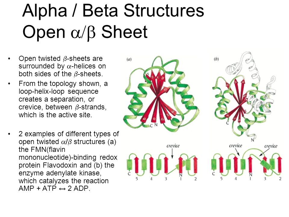 beta alpha beta motif