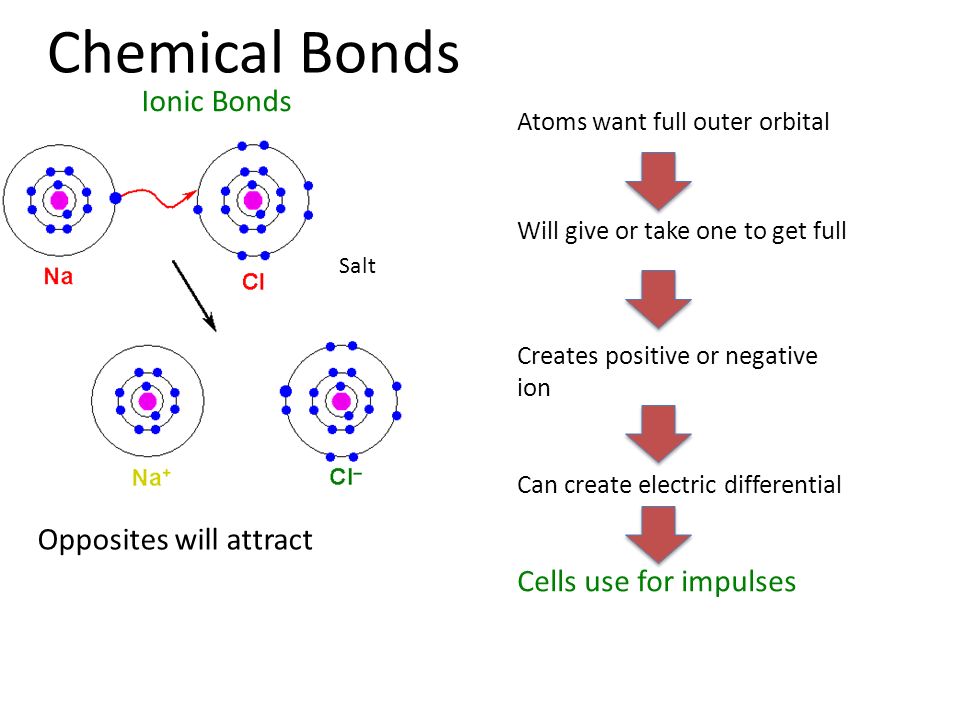 Understanding Life What’s all this got to do with it? - ppt download