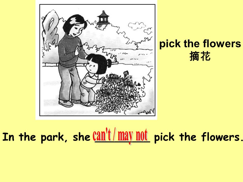 In the park, she ________ pick the flowers. pick the flowers 摘花