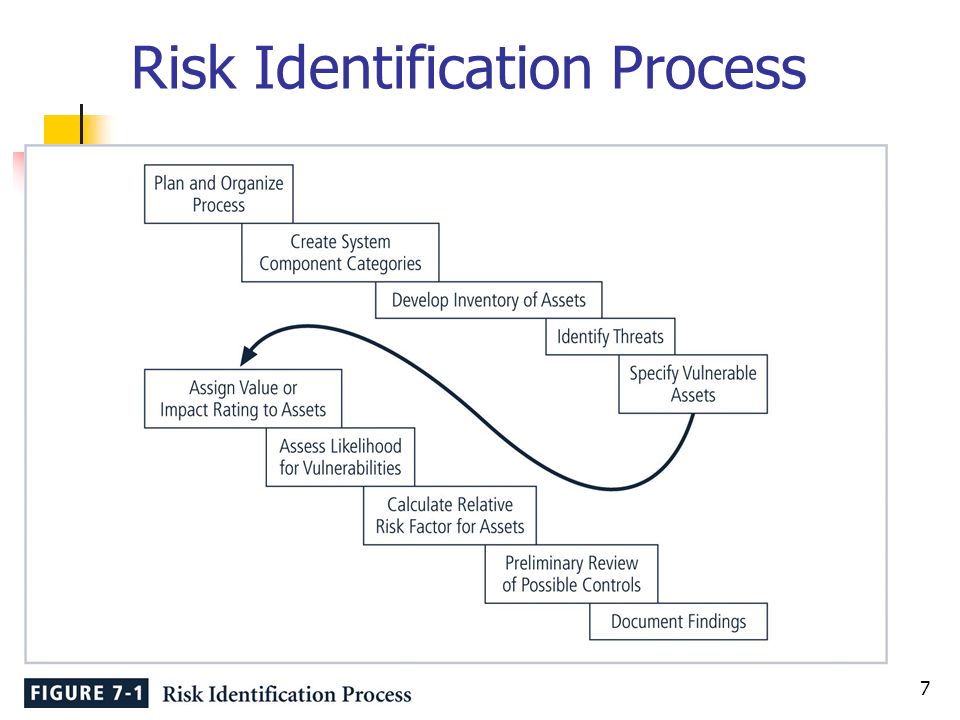 Risk Identification Process 7